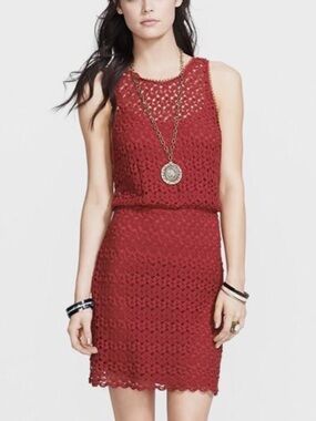 Free People size Large burgundy Lace woman's blossom dress
